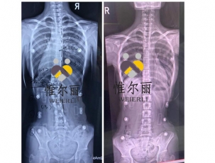 客戶案例